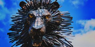 Aslan Sculpture | CS Lewis Square, Belfast